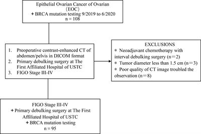 Assistance by Routine CT Features Combined With 3D Texture Analysis in the Diagnosis of BRCA Gene Mutation Status in Advanced Epithelial Ovarian Cancer